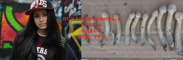Альфа ПВП Вязьма