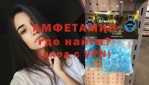 амф Гусь-Хрустальный